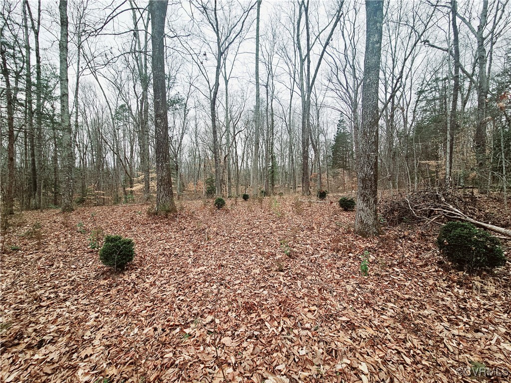 1198 Lickinghole Road Goochland, VA 23063 - Photo 3 of 20 a backyard of a house with lots of green space