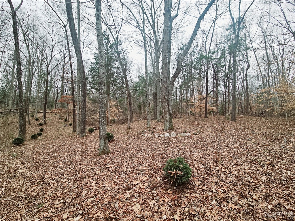1198 Lickinghole Road Goochland, VA 23063 - Photo 4 of 20 a backyard of a house with lots of green space