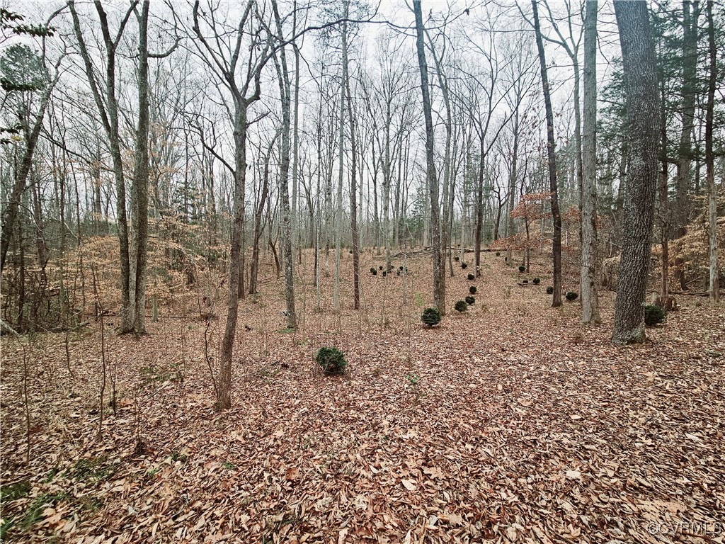 1198 Lickinghole Road Goochland, VA 23063 - Photo 5 of 20 a view of a yard with large trees