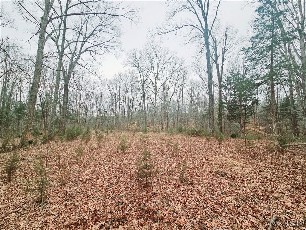 1198 Lickinghole Road Goochland, VA 23063 - Photo 7 of 20 a backyard of a house with lots of green space