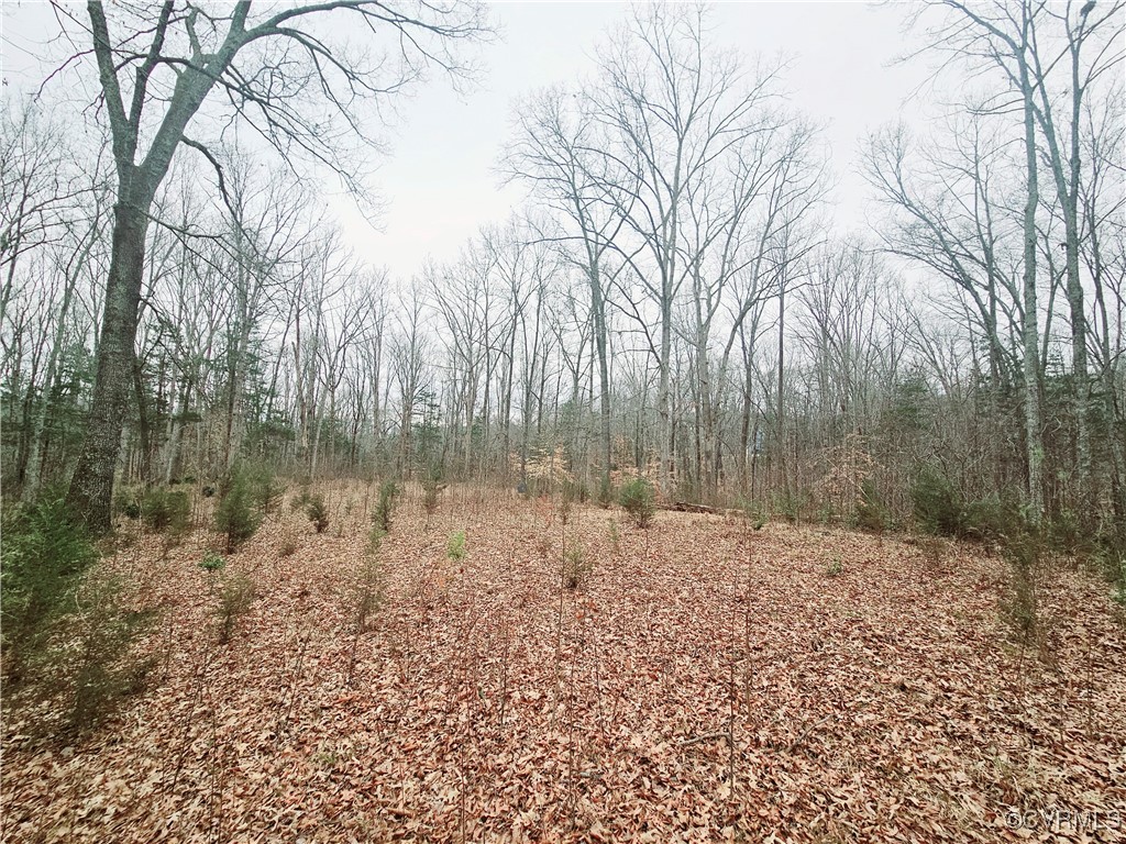1198 Lickinghole Road Goochland, VA 23063 - Photo 8 of 20 a backyard of a house with lots of green space