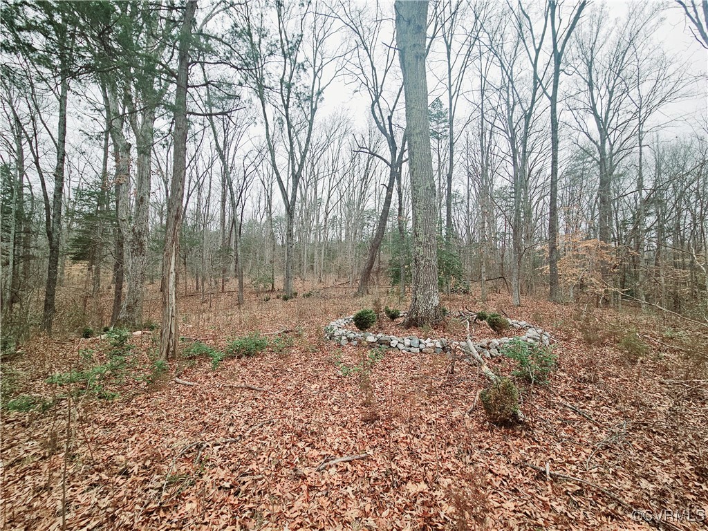 1198 Lickinghole Road Goochland, VA 23063 - Photo 9 of 20 a backyard of a house with outdoor seating and outdoor seating