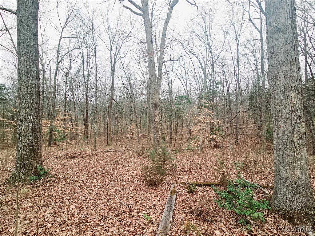 1198 Lickinghole Road Goochland, VA 23063 - Photo 10 of 20 a backyard of a house with lots of green space