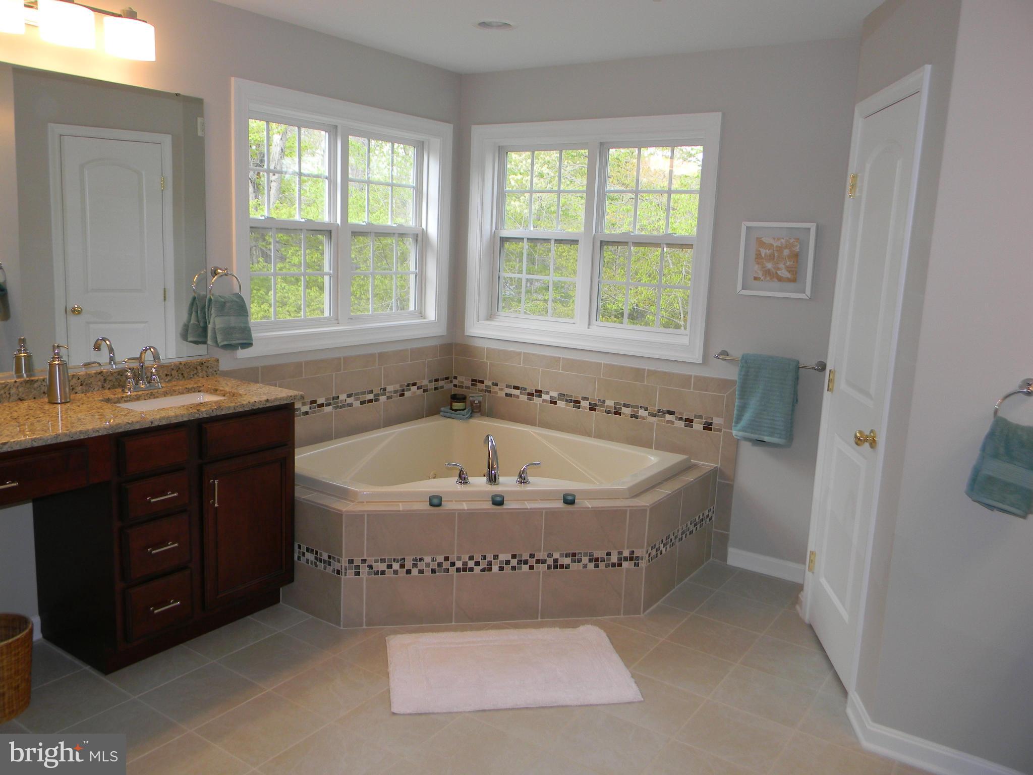 8900 Brooks Farm Road Bel Alton, MD 20611 - Photo 24 of 28 Bath (Master)