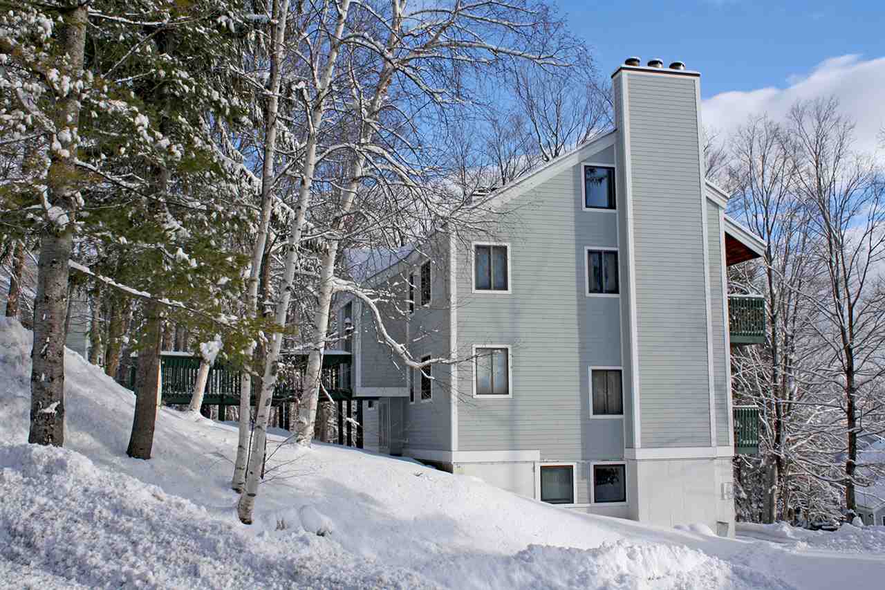 38 Okemo Trailside Extension, Unit 8D Ludlow, VT 05149 - Photo 18 of 18 Gallery Image 18
