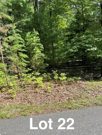 $29,999 | Lot 22 Woods Haven Lane, Stuart, VA 24171