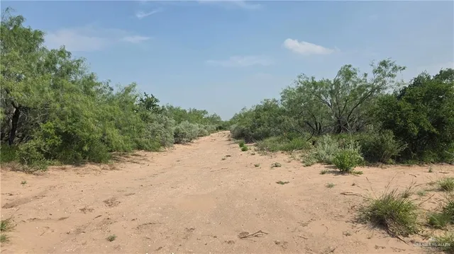 a view of a beach with a snow on the road