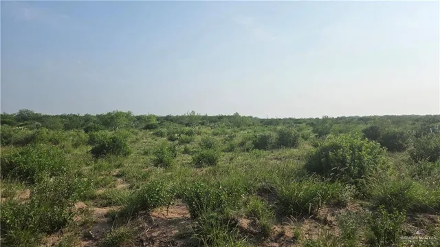 a view of a green field