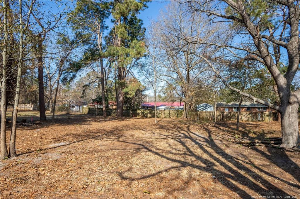 226 Odell Road Spring Lake, NC 28390 - Photo 3 of 14 Photo 3