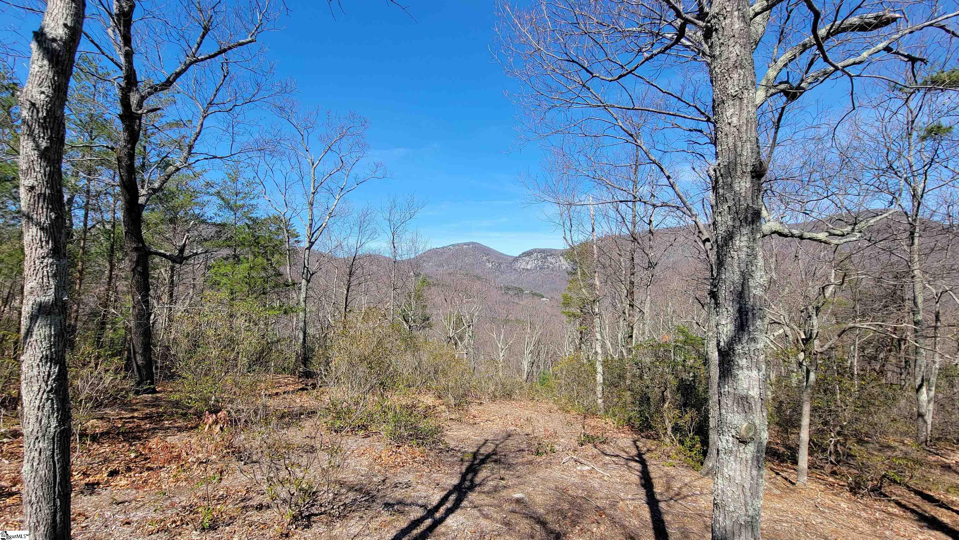 107 Round Top Lane Landrum, SC 29356 - Photo 3 of 6