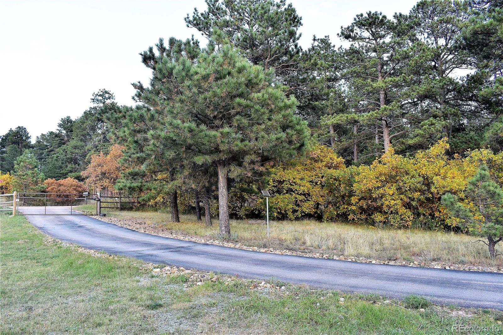 2355 Bricker Road Monument, CO 80132 - Photo 26 of 35 a view of a park with large trees
