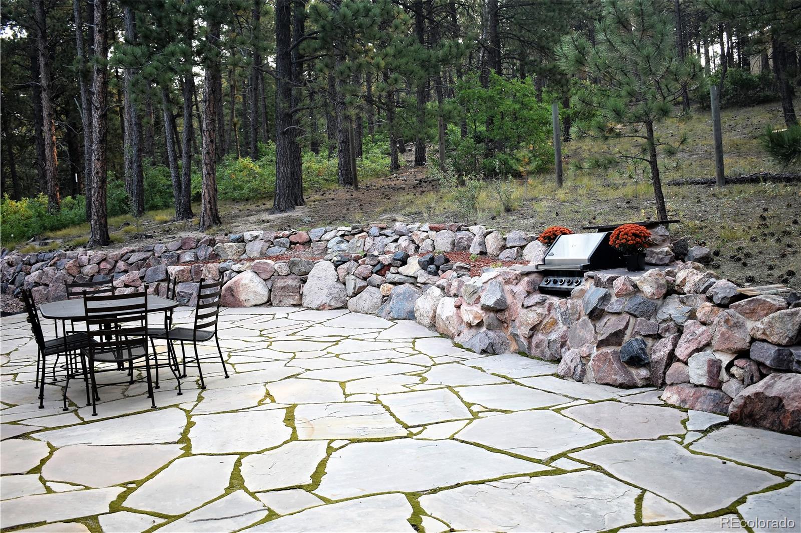 2355 Bricker Road Monument, CO 80132 - Photo 29 of 35 a backyard of a house with lots of green space and trees