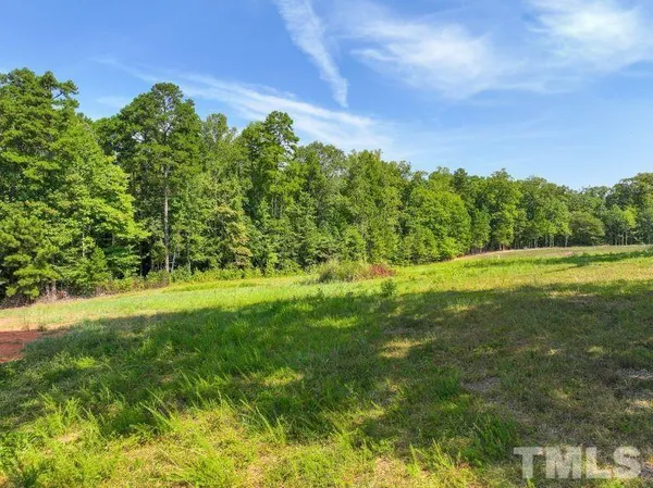 a view of yard with green space