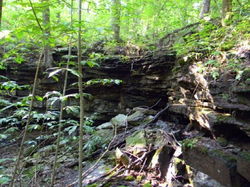 1300 Falling Water Road Cookeville, TN 38506 - Photo 20 of 21 Additional Photo