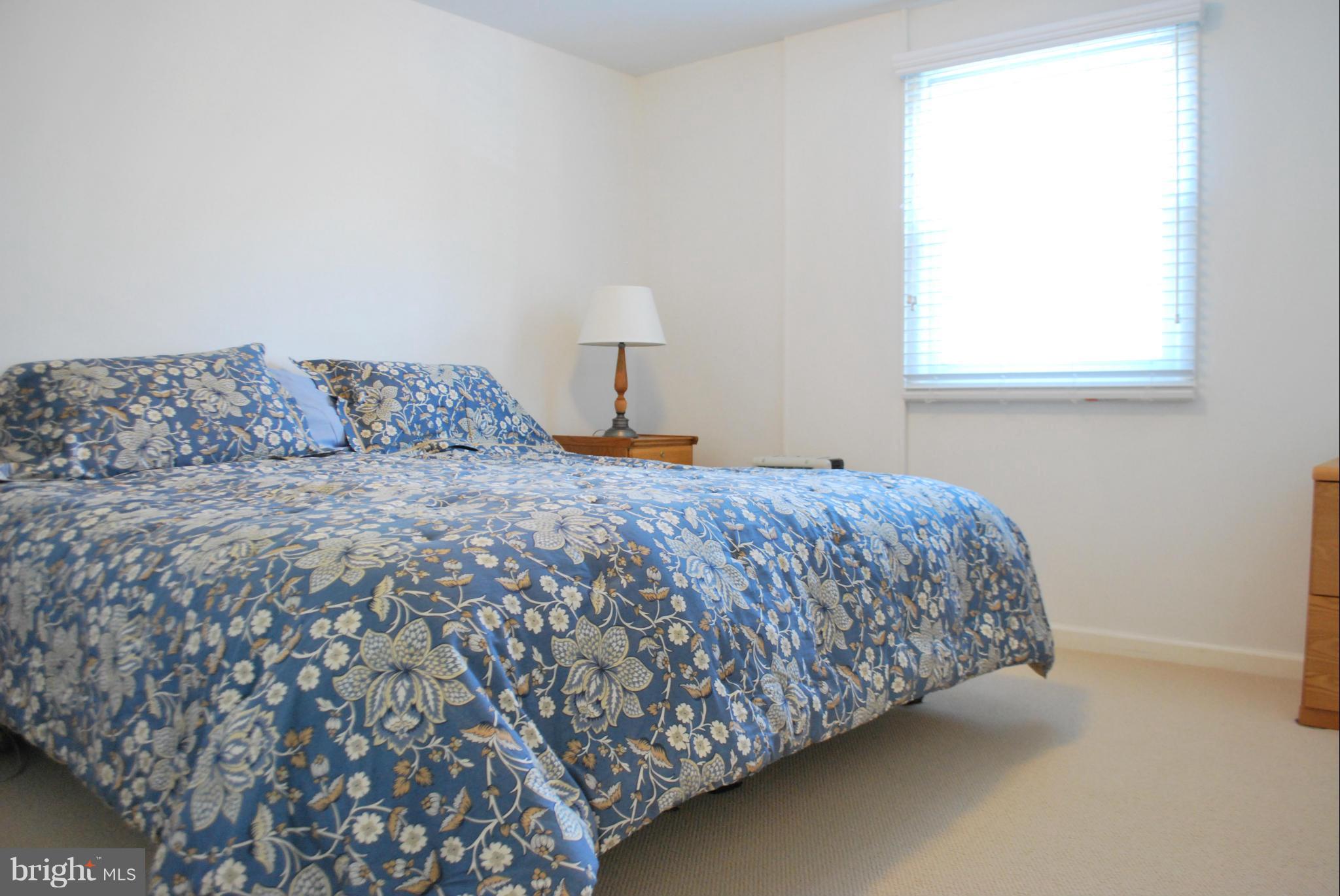 7209 Hadlow Drive Springfield, VA 22152 - Photo 22 of 30 4th Bedroom in Basement