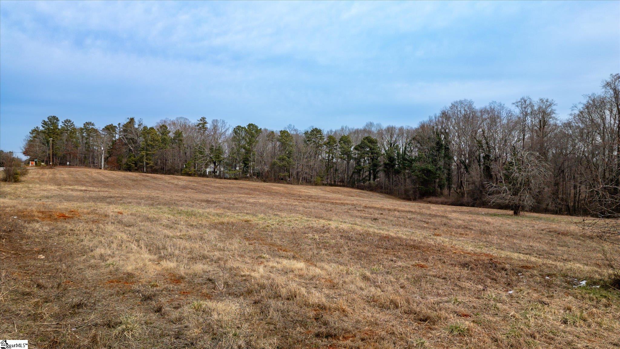0 Durham Road Piedmont, SC 29673 - Photo 6 of 11