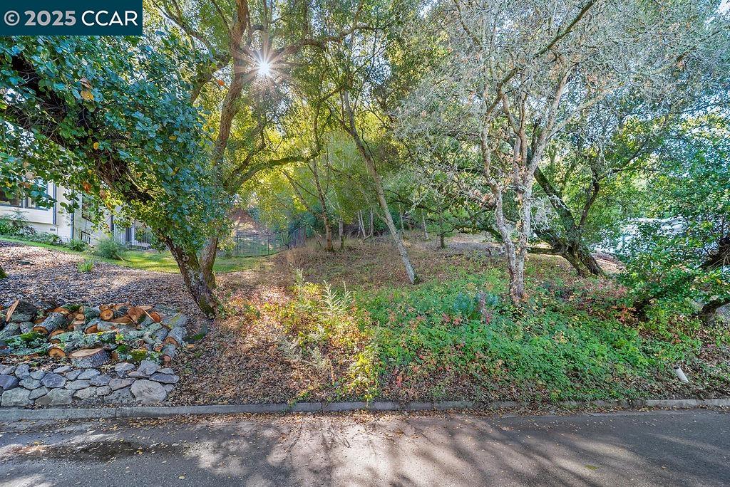 Oak Road Orinda, CA 94563 - Photo 2 of 2 a view of a street with a trees