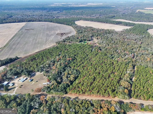 an aerial view of a house with a yard and trees