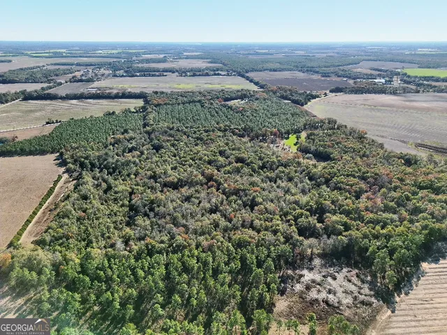 an aerial view of a houses with a yard