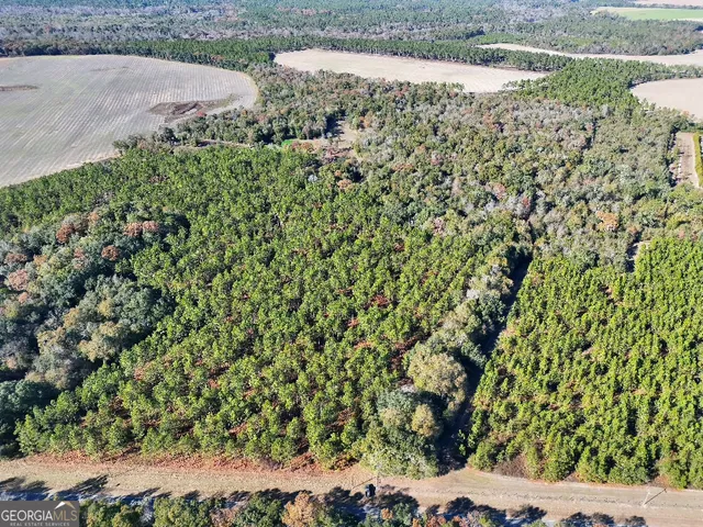 a view of a yard with plants