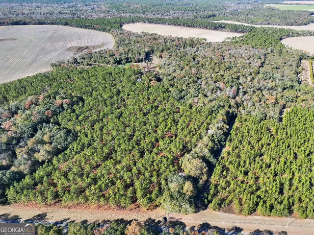 a view of a yard with plants