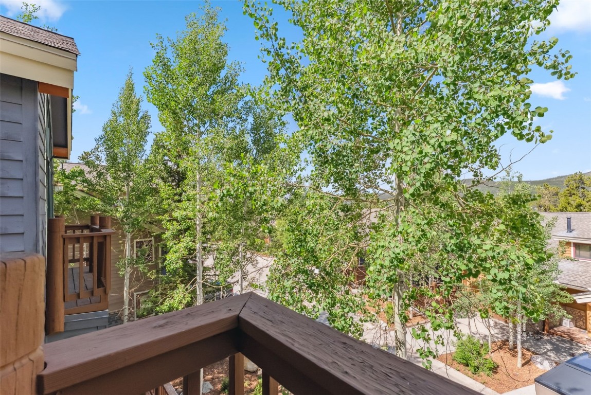 434 Kings Crown Road, Unit 434 Breckenridge, CO 80424 - Photo 43 of 50