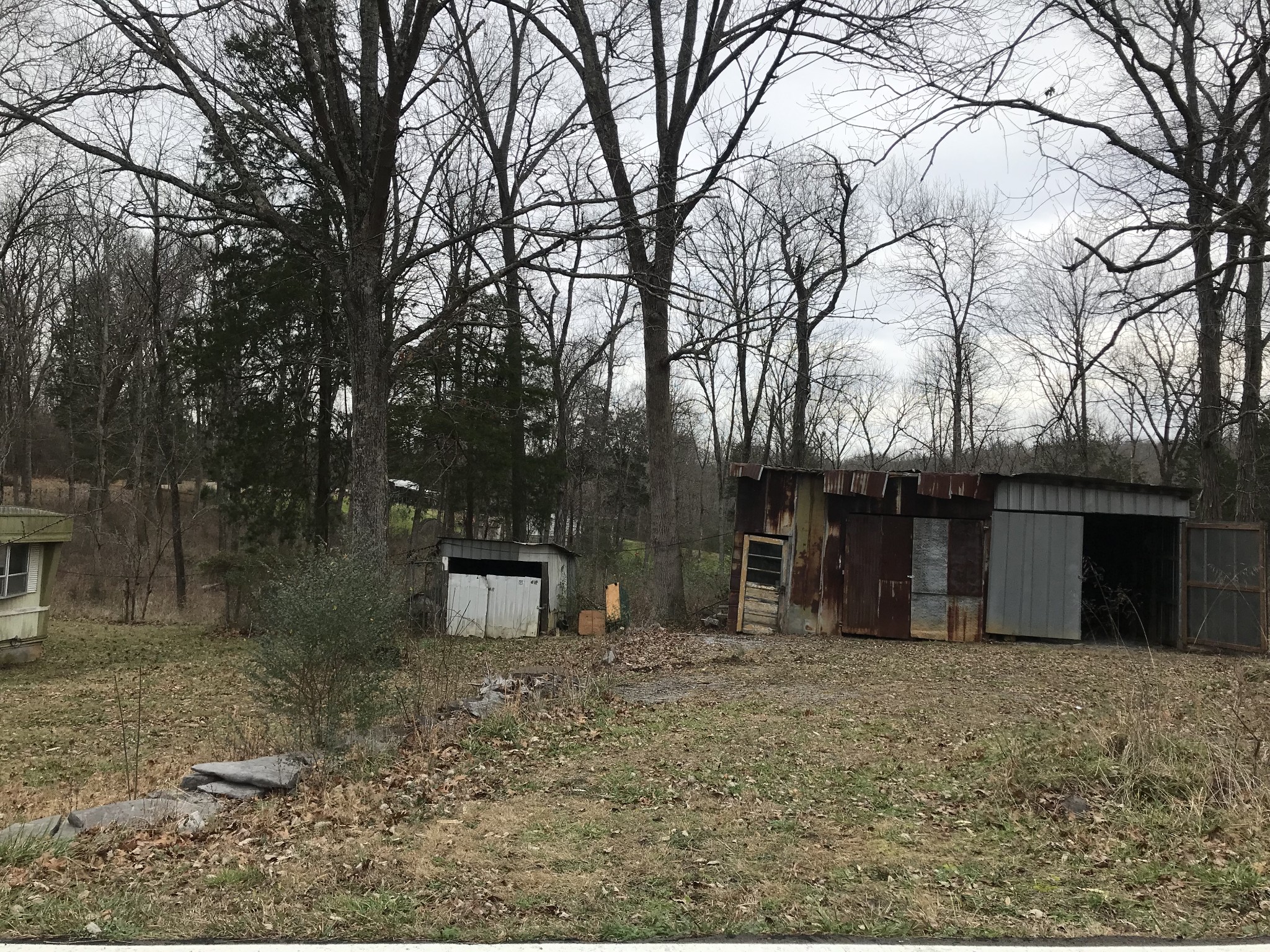 211 Ramsey Road Lebanon, TN 37087 - Photo 5 of 17 a view of a backyard with large trees