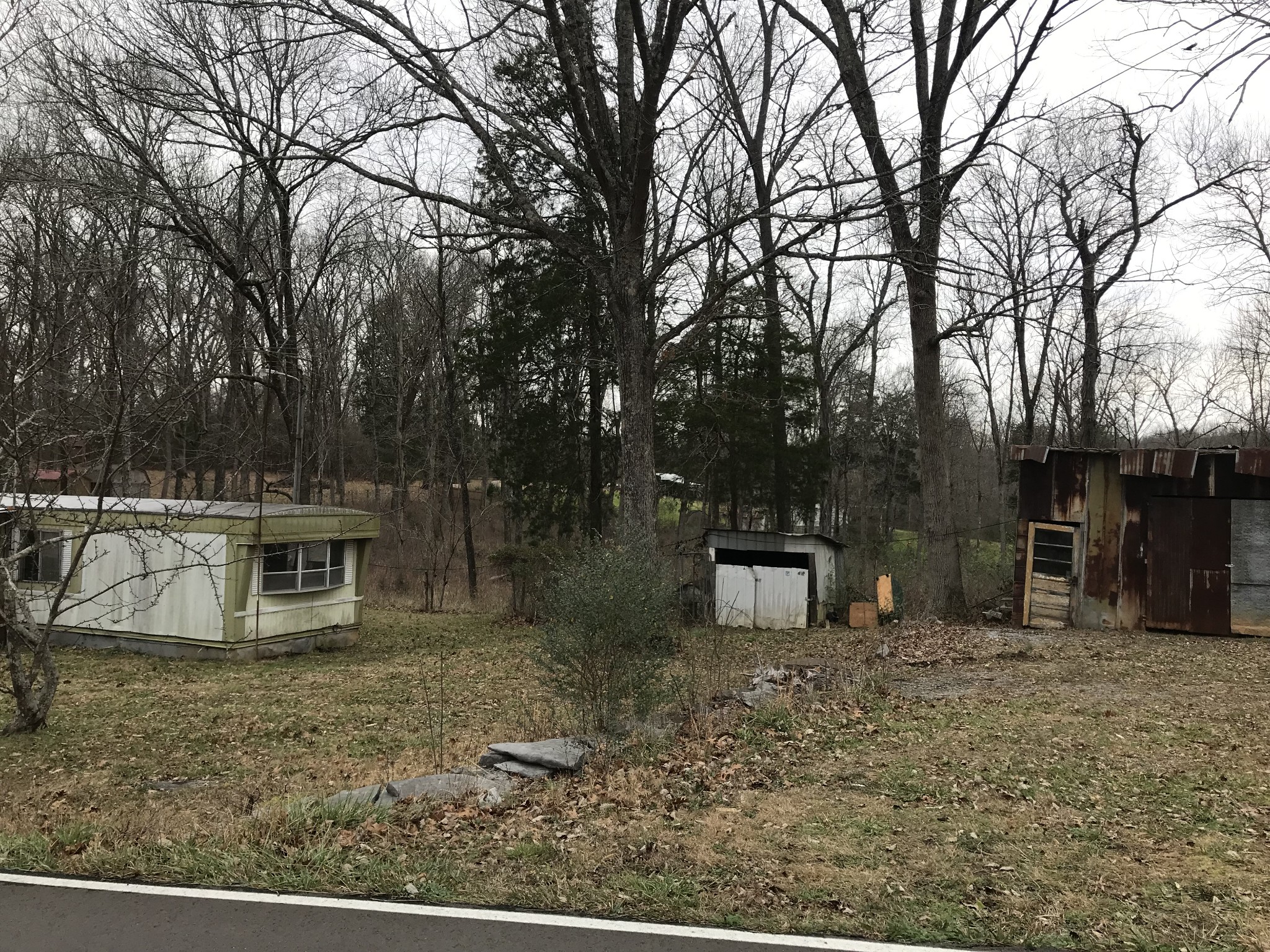 211 Ramsey Road Lebanon, TN 37087 - Photo 8 of 17 a view of a backyard with large trees