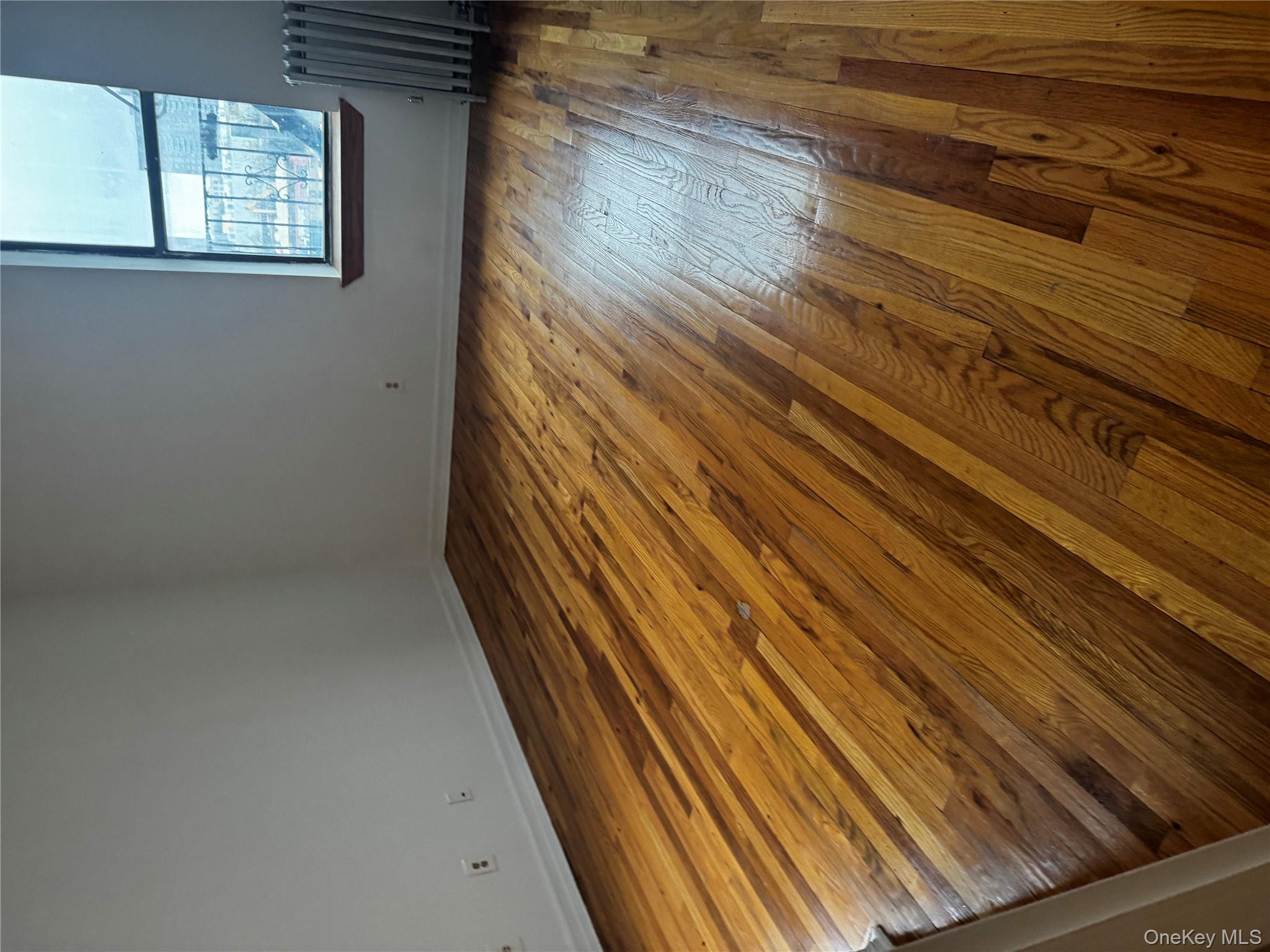 875 Longfellow Avenue, Unit 4C Bronx, NY 10474 - Photo 3 of 4 Spare room featuring radiator heating unit and light wood-type flooring