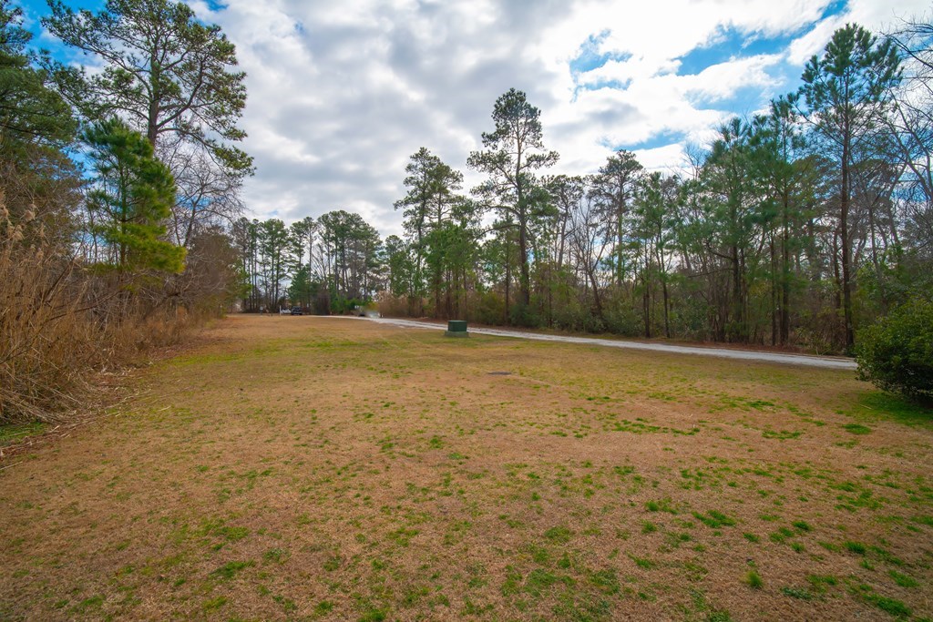 4515 Deep Hole Road Chincoteague Island, VA 23336 - Photo 30 of 33
