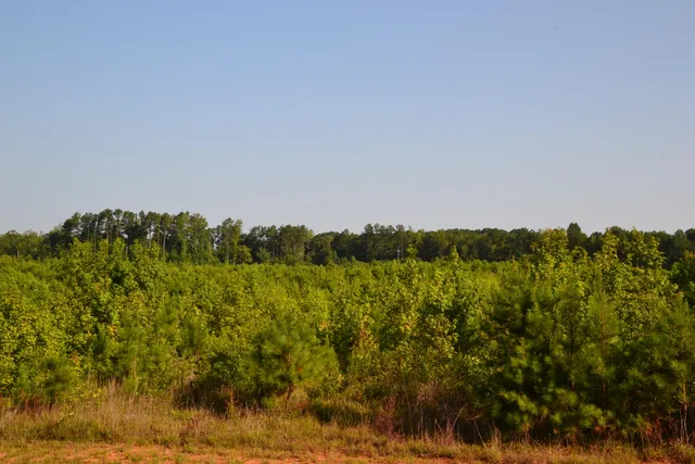 $2,250,000 | 0 Westbrook Road, Edgemoor, SC 29712