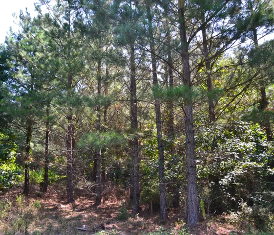 $2,250,000 | 0 Westbrook Road, Edgemoor, SC 29712