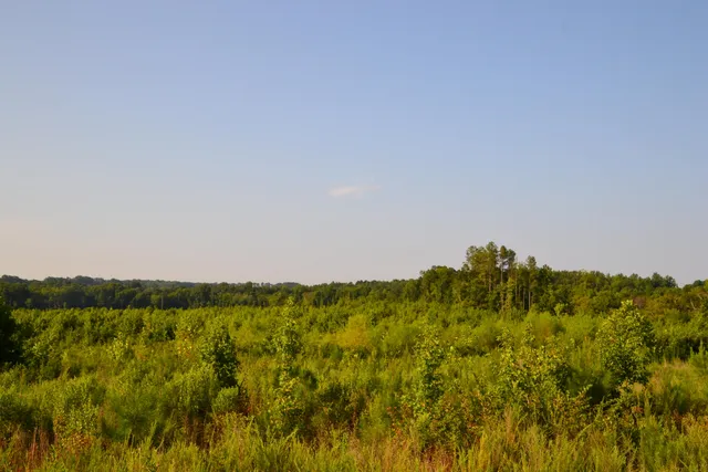 $2,250,000 | 0 Westbrook Road, Edgemoor, SC 29712