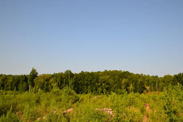 $2,250,000 | 0 Westbrook Road, Edgemoor, SC 29712