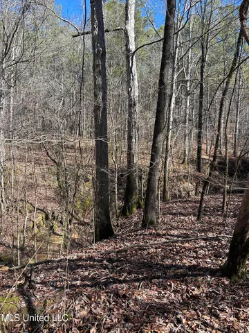 $148,000 | Phillips Road, Lexington, MS 39095