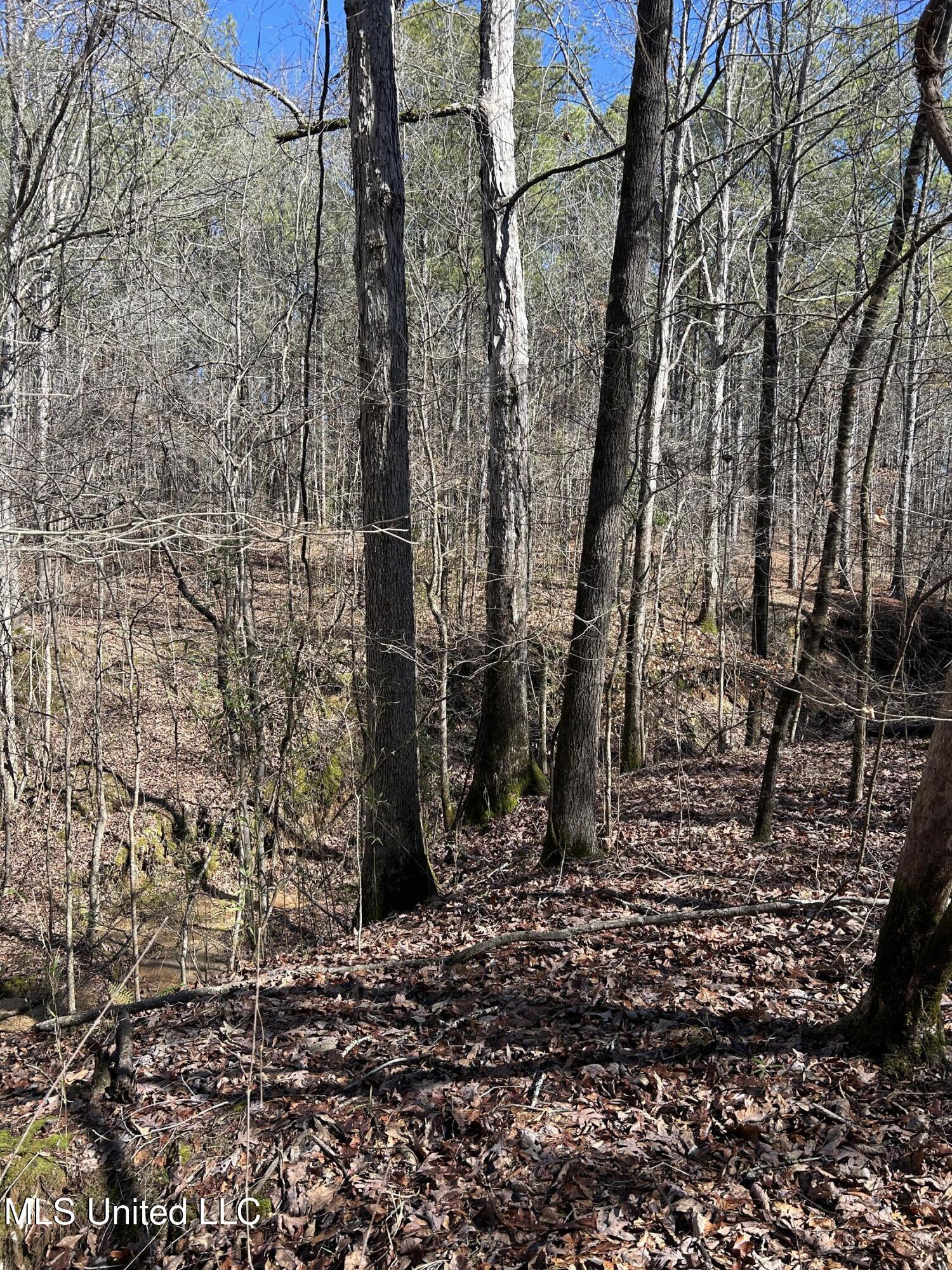 Phillips Road Lexington, MS 39095 - Photo 11 of 43 IMG_7785