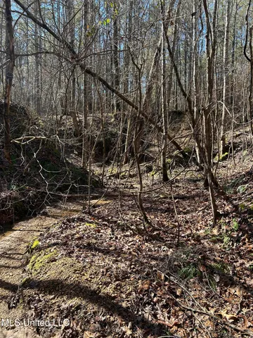 $148,000 | Phillips Road, Lexington, MS 39095