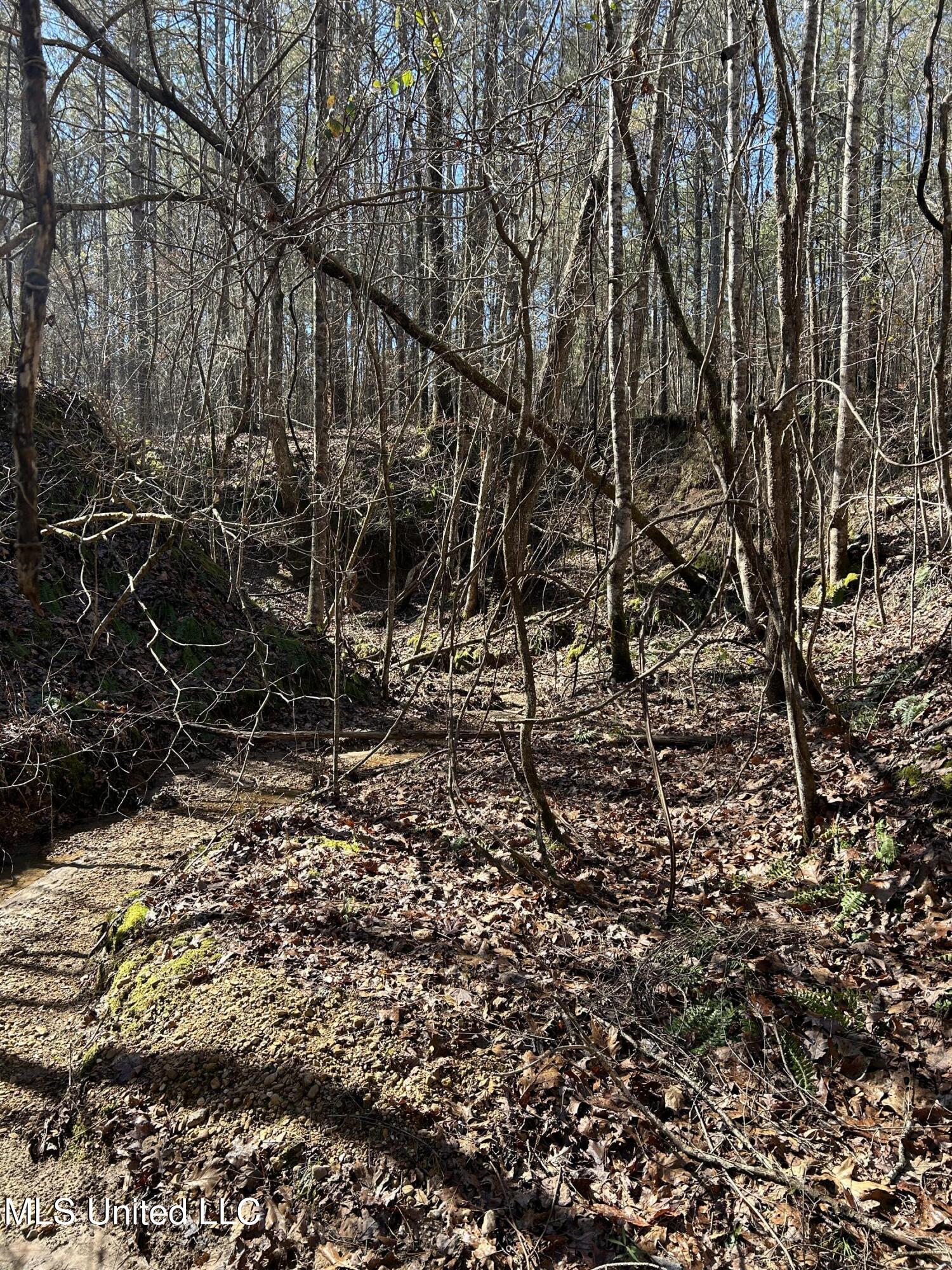 Phillips Road Lexington, MS 39095 - Photo 12 of 43 IMG_7786