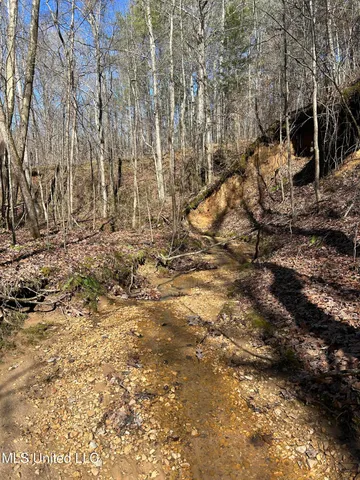 $148,000 | Phillips Road, Lexington, MS 39095