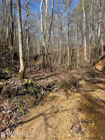 $148,000 | Phillips Road, Lexington, MS 39095