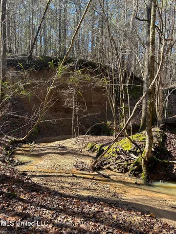 $148,000 | Phillips Road, Lexington, MS 39095