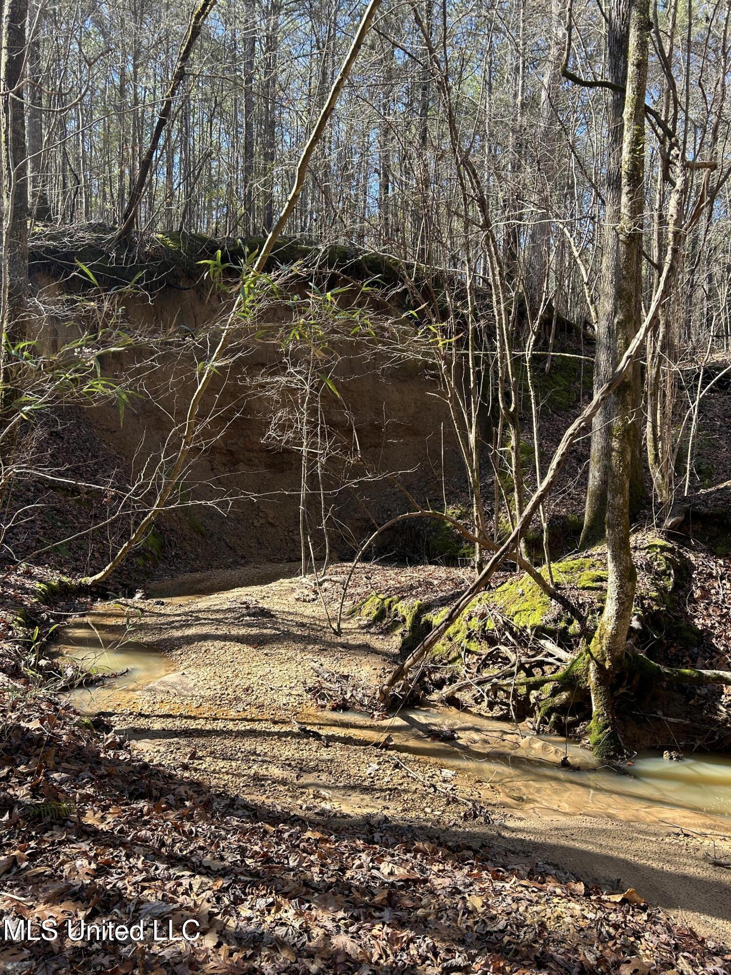 Phillips Road Lexington, MS 39095 - Photo 15 of 43 IMG_7789