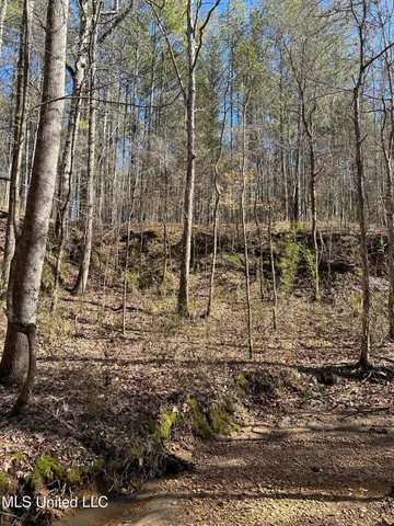 $148,000 | Phillips Road, Lexington, MS 39095