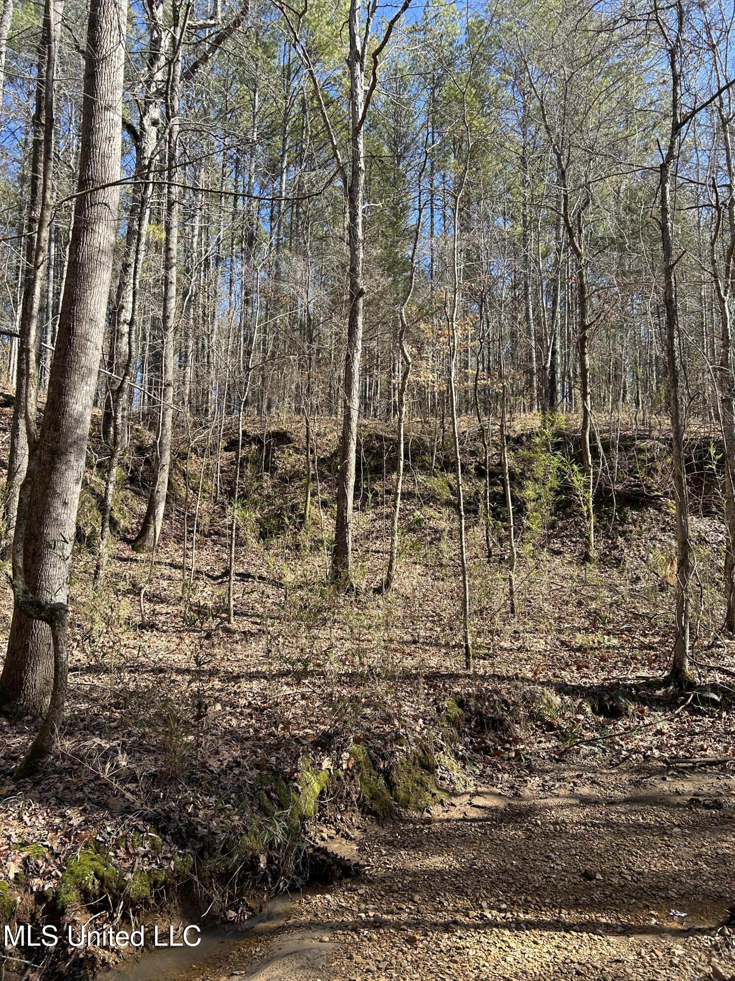 Phillips Road Lexington, MS 39095 - Photo 16 of 43 IMG_7790