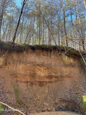 $148,000 | Phillips Road, Lexington, MS 39095