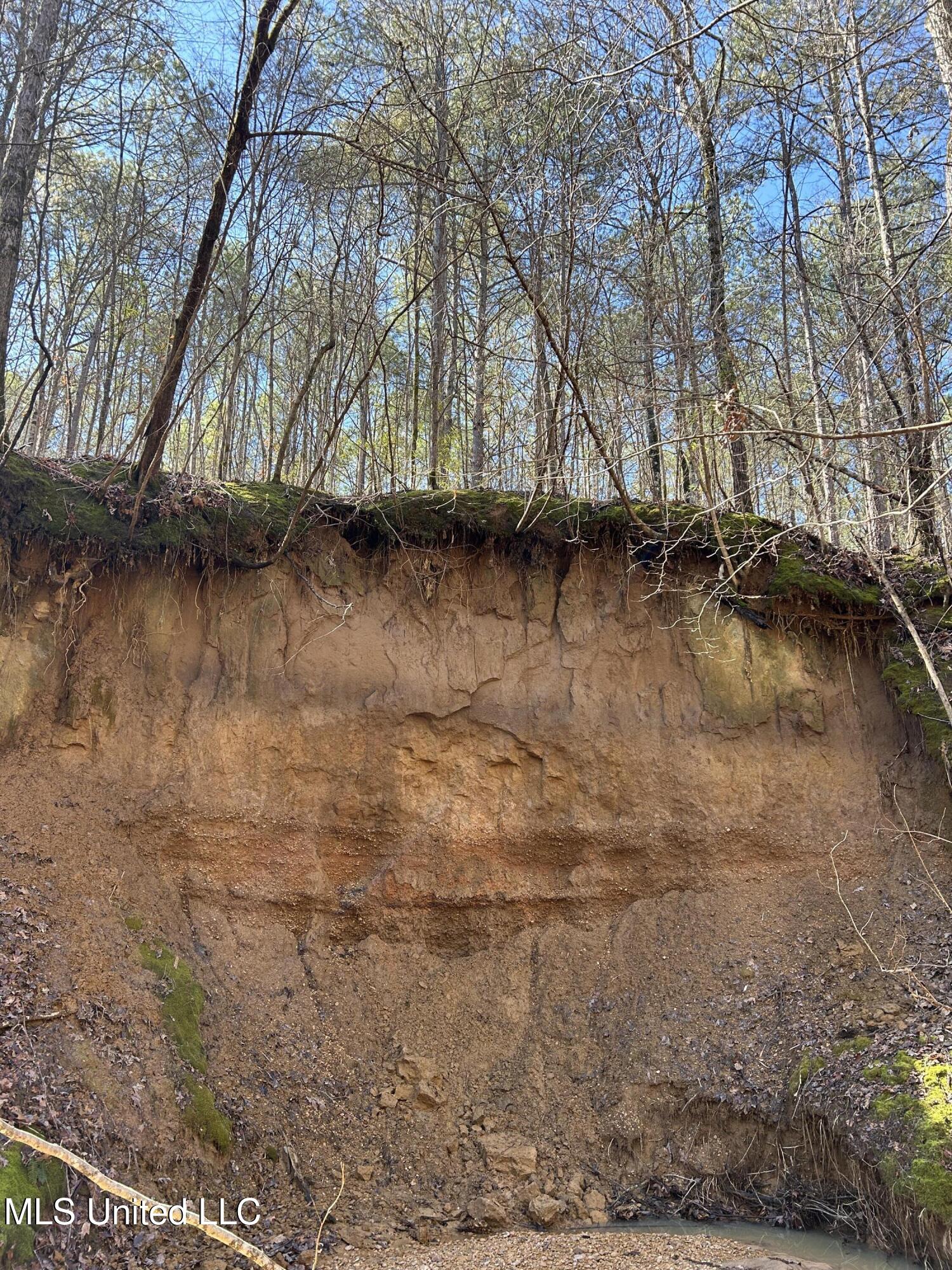 Phillips Road Lexington, MS 39095 - Photo 17 of 43 IMG_7791