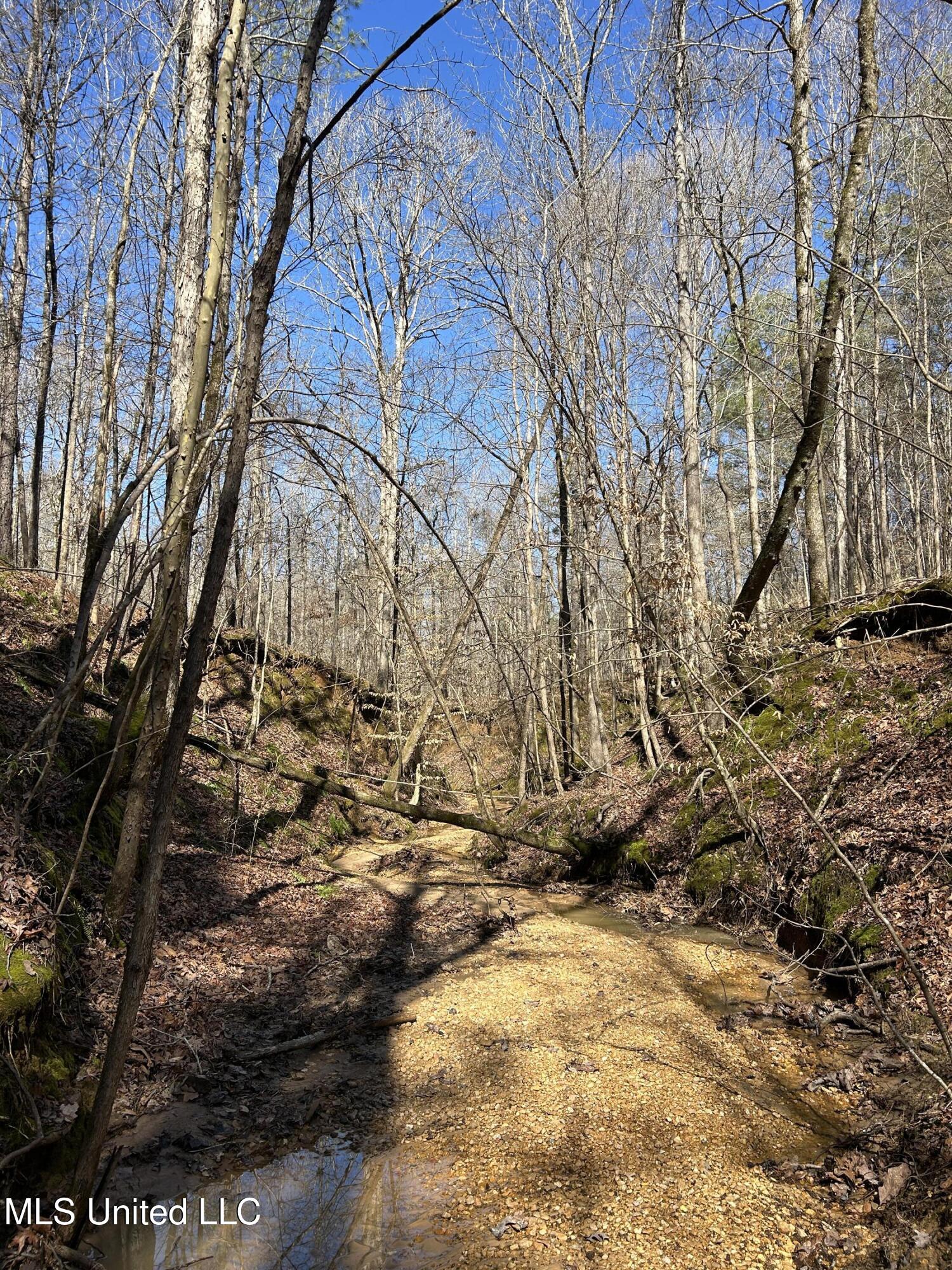 Phillips Road Lexington, MS 39095 - Photo 18 of 43 IMG_7798