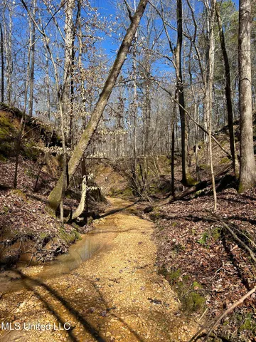 $148,000 | Phillips Road, Lexington, MS 39095