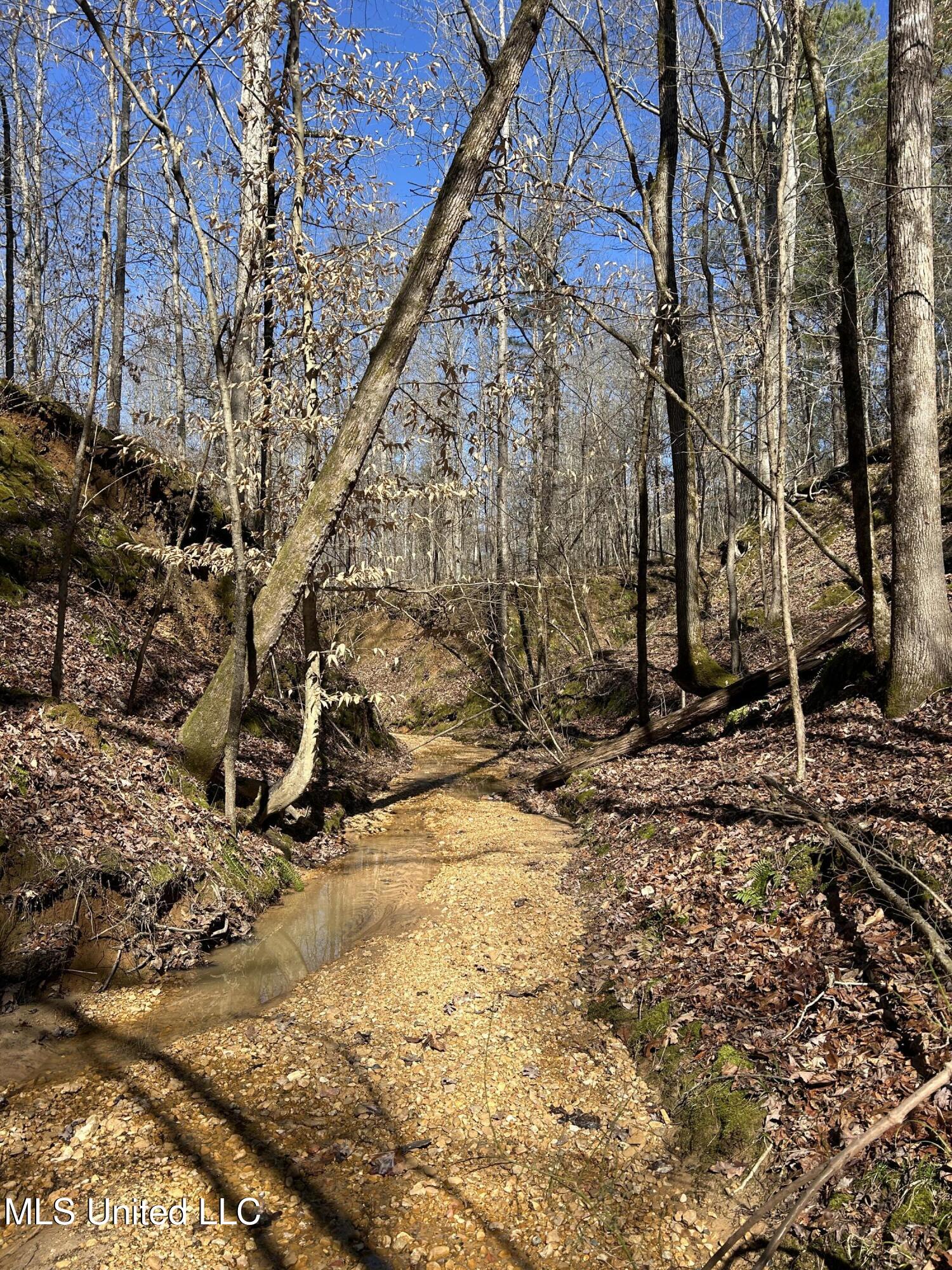 Phillips Road Lexington, MS 39095 - Photo 19 of 43 IMG_7799