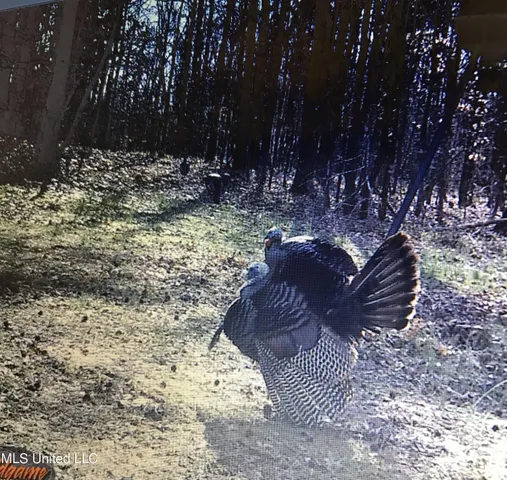 $148,000 | Phillips Road, Lexington, MS 39095